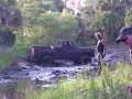 big 4x4 truck mudding in the mud bog.