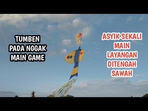 Anana' Solo Main Layangan Pitu-pitu Bugis Semua Model Merak