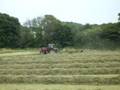 Swathing