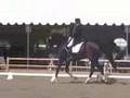 Montango & Peters Int-1 2008