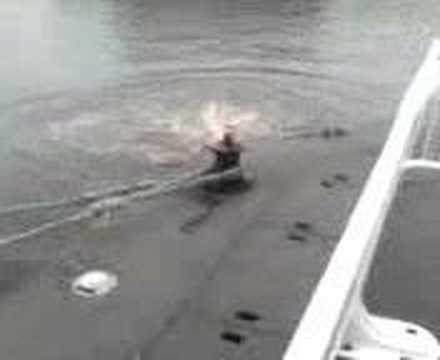 mainy jumpin in the river tyne middle of winter ( hebburn )