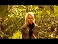 Ylimazz - Ik heb op jou gewacht
