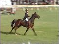 Concurso Ecuestre Antonio Chedraui Infantil  en Balvanera 6/