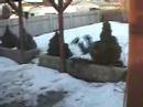Totally Random Footage! Totally Random Footage!