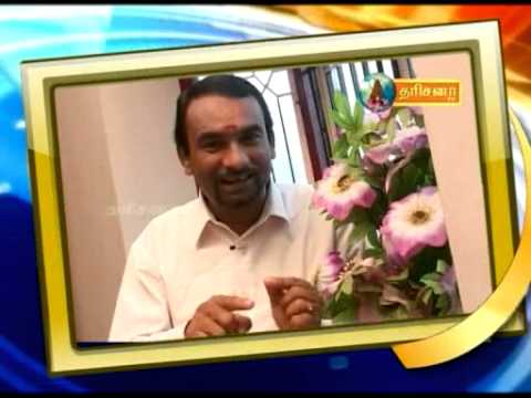 Dharisana TV Dharisana TV