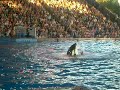 sea world