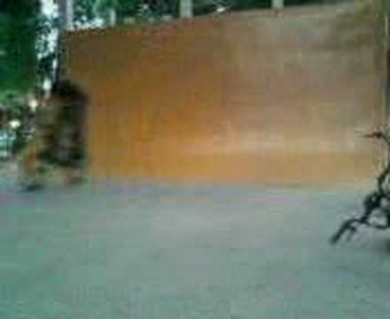 bmx wasave (540)