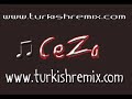 ceza yerli plaka