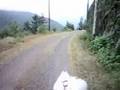Bikejoring Rail Trails