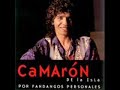 RAZA {rumba pop} tema camaron camaron dedicado al mas grande