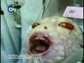 bret-verc-lm-4.html