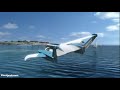 Ground effect jet plane - Prototype � effet de sol - En vol