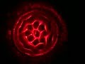Harmony of the spheres