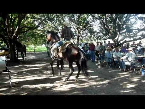 tetecala morelos - Tavo Miranda montando al caballo