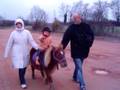 videos de Promenade a poney