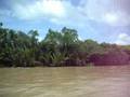 vietnam mekong delta