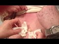 IMG_0066[1]