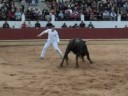 concurso de recortes saint sever 2008