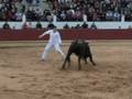 videos de concurso de recortes saint sever 2008
