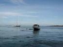 Hard Aground On the Reef