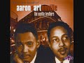 Been So Wrong - Aaron Neville