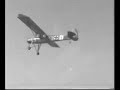 Slepcev Storch