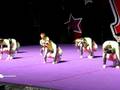 videos de topeka jamfest 08