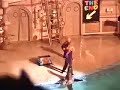 Funny Sea Lion Dance 1