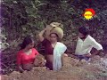 Search Video
