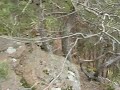 STERNFELS - pénétration de la dalle sommitale du Massiv -