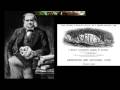 What is Darwinism?