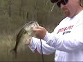 All Maine Outdoors Bass Fishing (hi rez)