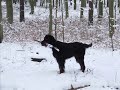Spass im Schnee Spass im Schnee