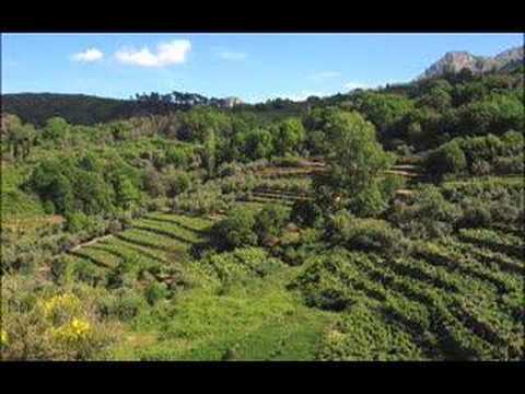 Presentation: "Samos 2007, greek & ...