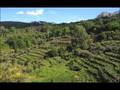 Presentation: Samos 2007, greek & green (10 min)