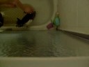 Bubby the Cat Gets a Bath Bubby the Cat Gets a Bath