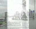 NEW YORK.central park.times square NEW YORK.central park.times square