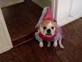 Princess Elway - The Movie