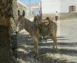 Cape Verde 2007