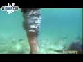 Tiburón mordiendo a una Persona(Shark biting a person)