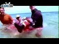 Tiburón mordiendo a una Persona(Shark biting a person)