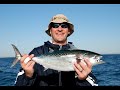 Wrightsville Beach Fishing, False Albacore Video Wrightsville Beach Fishing, False Albacore Video