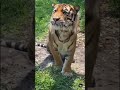 https://youtu.be/664FAPX33hY