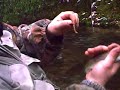 Trout Fishing Cherokee 2005-Sugar Hill Outdoors