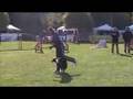 Fionda Freestyle Dance