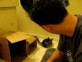 videos de The Chinchilla Bit My Ear