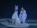 Andalusian stallion, Apassionatta Andalusian stallion, Apassionatta