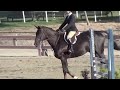 2009 Carousel Medal Finals
