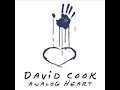 Fall Back Into Me- David Cook Fall Back Into Me- David Cook