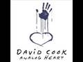 Fall Back Into Me- David Cook
